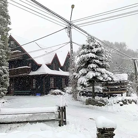 Bed and breakfast Gosciniec Pod Smrekami